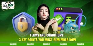 Terms And Conditions 33AG - 3 Key Points You Must Remember Now