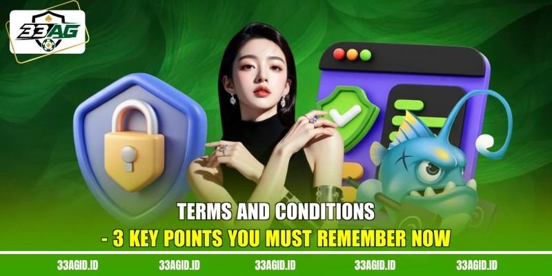 Terms And Conditions 33AG - 3 Key Points You Must Remember Now